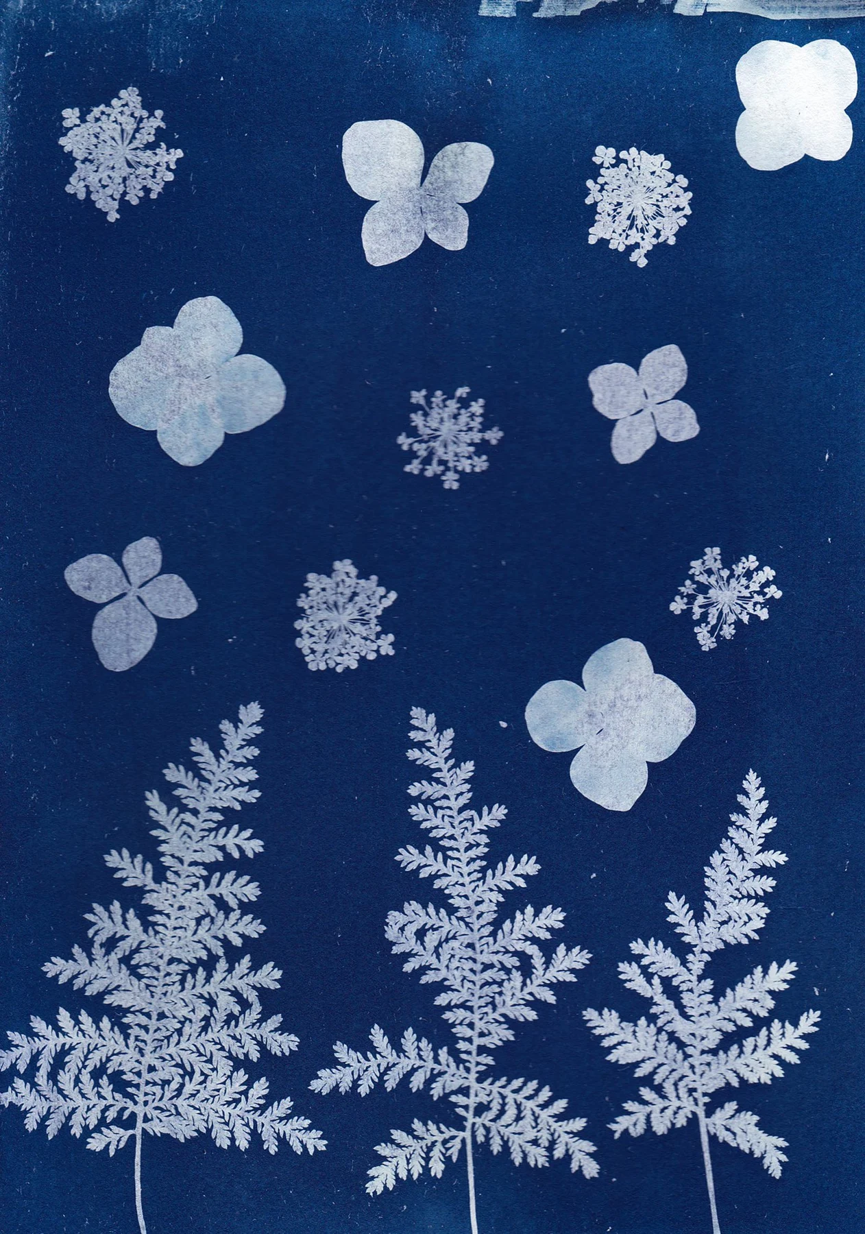 White fern fronds and scattered flower forms on a deep blue botanical image.