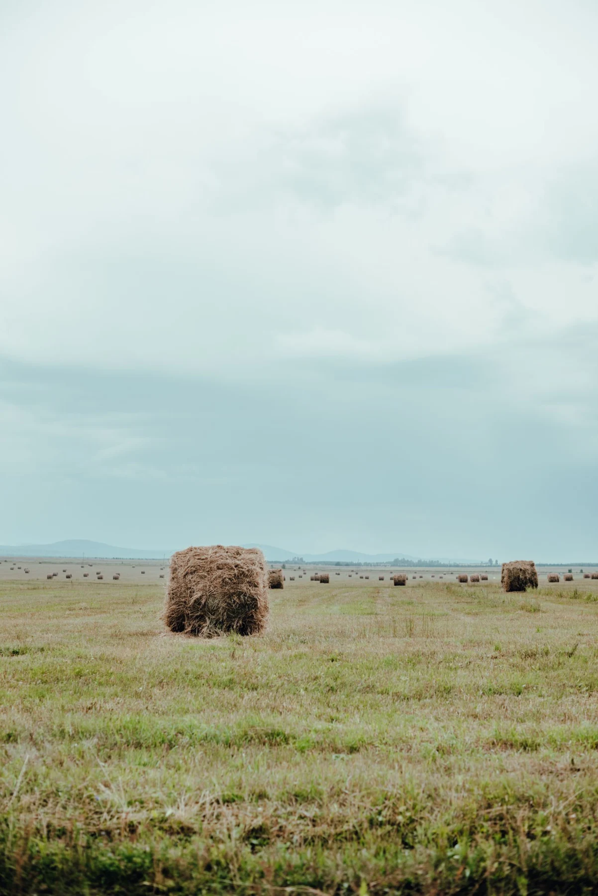 Hay bales in a green field below a low horizon and an expansive pale cloudy sky.