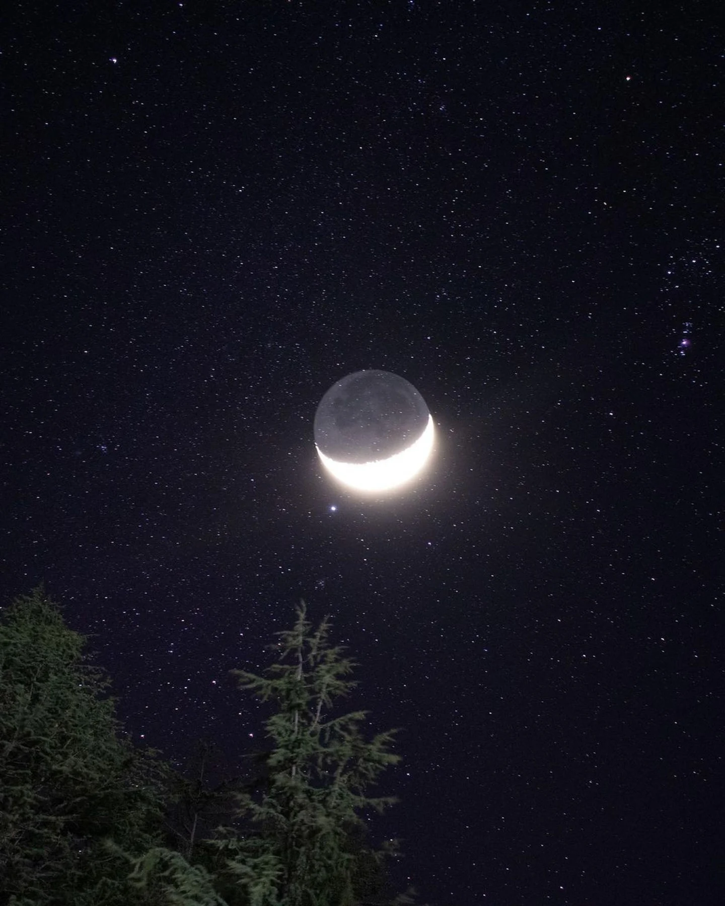 A crescent moon and scattered stars above dark tree silhouettes in a night-sky image.