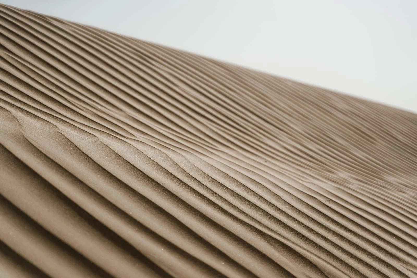 Diagonal ripples cross a pale sand dune, showing a restrained desert palette.